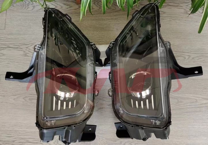 For Saic 301020 Almaz 530&nbsp;head Lamp&nbsp;, Saic  Stard Halogen Headlight, Almaz Cheap Auto Parts-