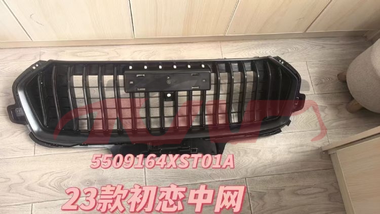 For Great Wall 2905jolion  2022&nbsp;grille&nbsp;5509130xst01a, Great Wall  Automobile Mesh, Haval Jolion Parts Suvs Price-5509130XST01A