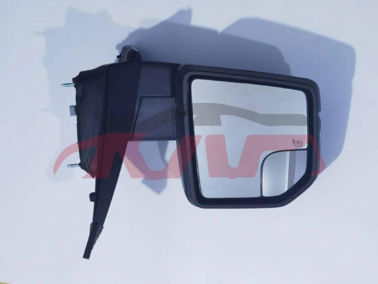 For Ford 11332015  F150&nbsp;door Mirror, Dermatoglyph&nbsp;, Ford  Auto Part, F150  Pickup Truck Automotive Parts-
